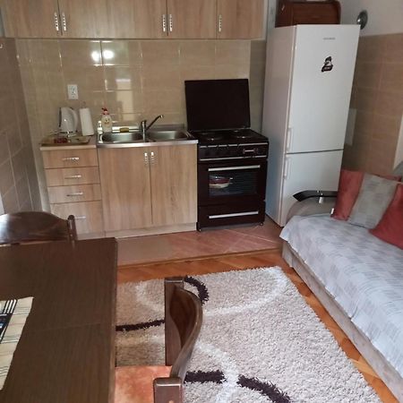 Apartman Vukica Daire Trebin Dış mekan fotoğraf