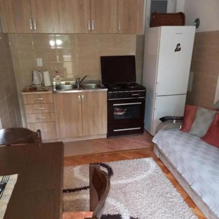 Apartman Vukica Daire Trebin Dış mekan fotoğraf