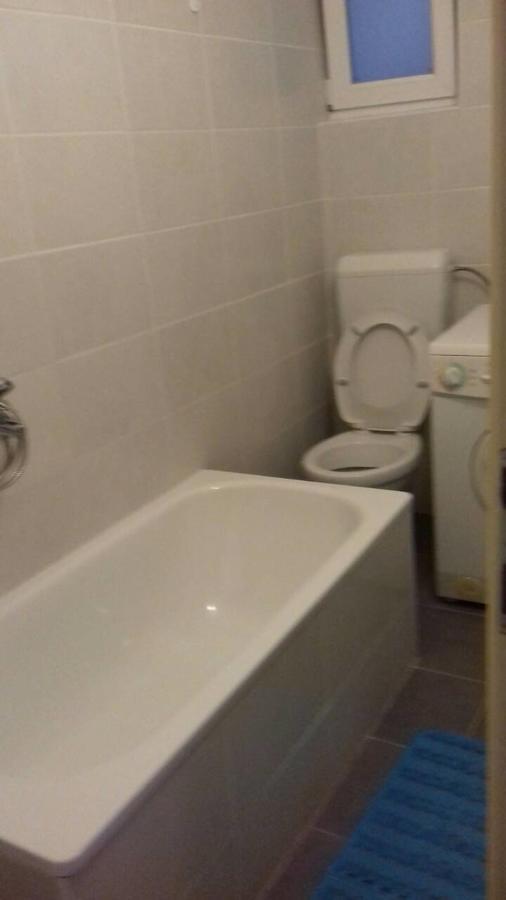 Apartman Vukica Daire Trebin Dış mekan fotoğraf