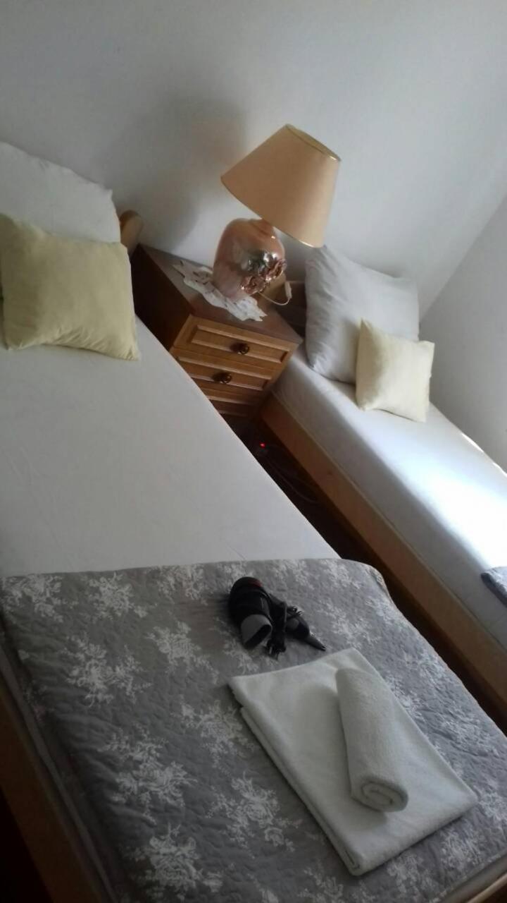 Apartman Vukica Daire Trebin Dış mekan fotoğraf